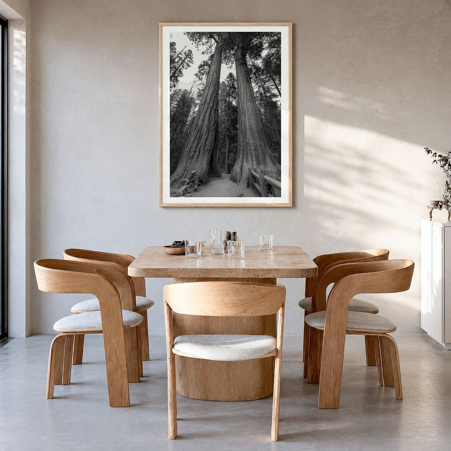 Redwood National Park Photo Poster in a natural wood frame, hanging in a dining room, white border