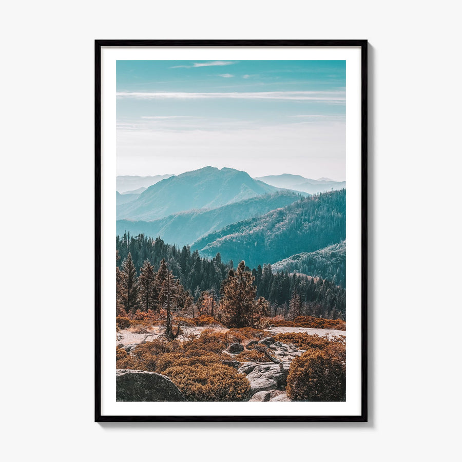 Redwood National Park Photo No 1 Poster, framed poster mockup, white border