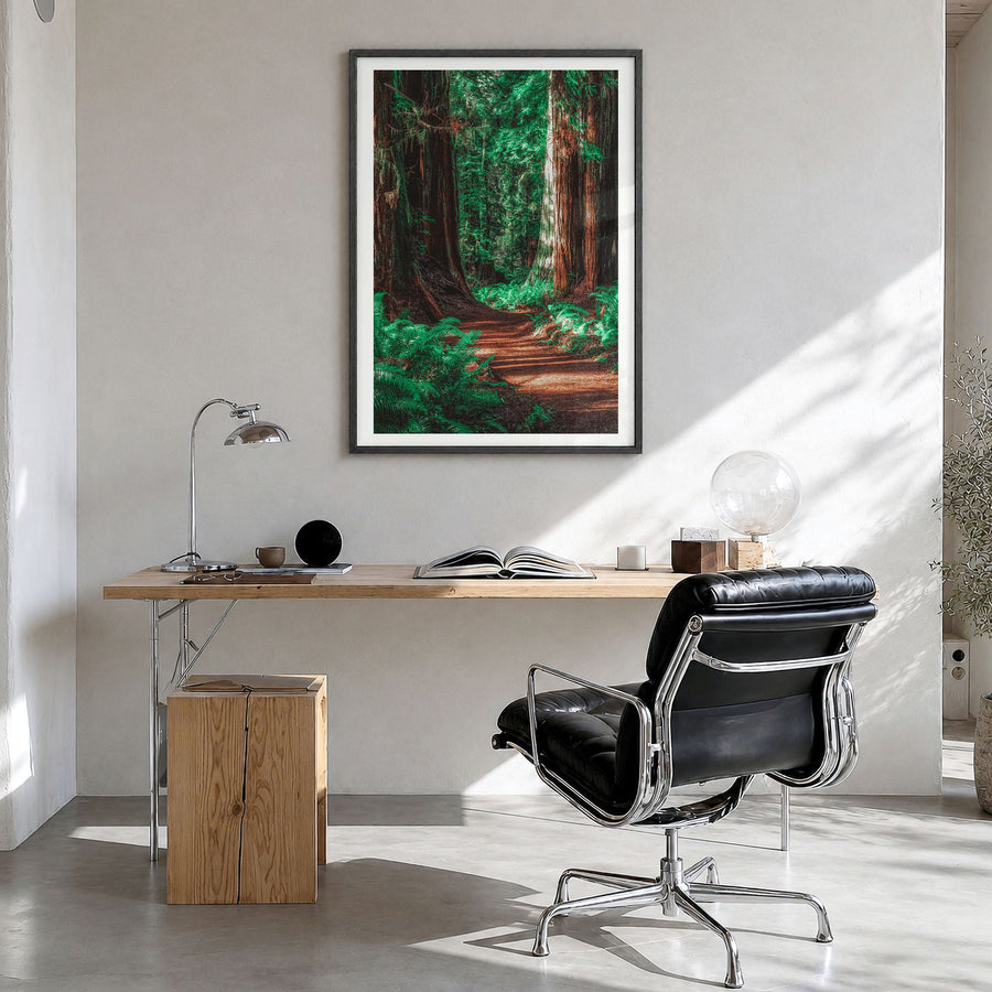 Redwood National Park Photo No 2 Poster in a black wood frame, hanging in a bright home office, white border