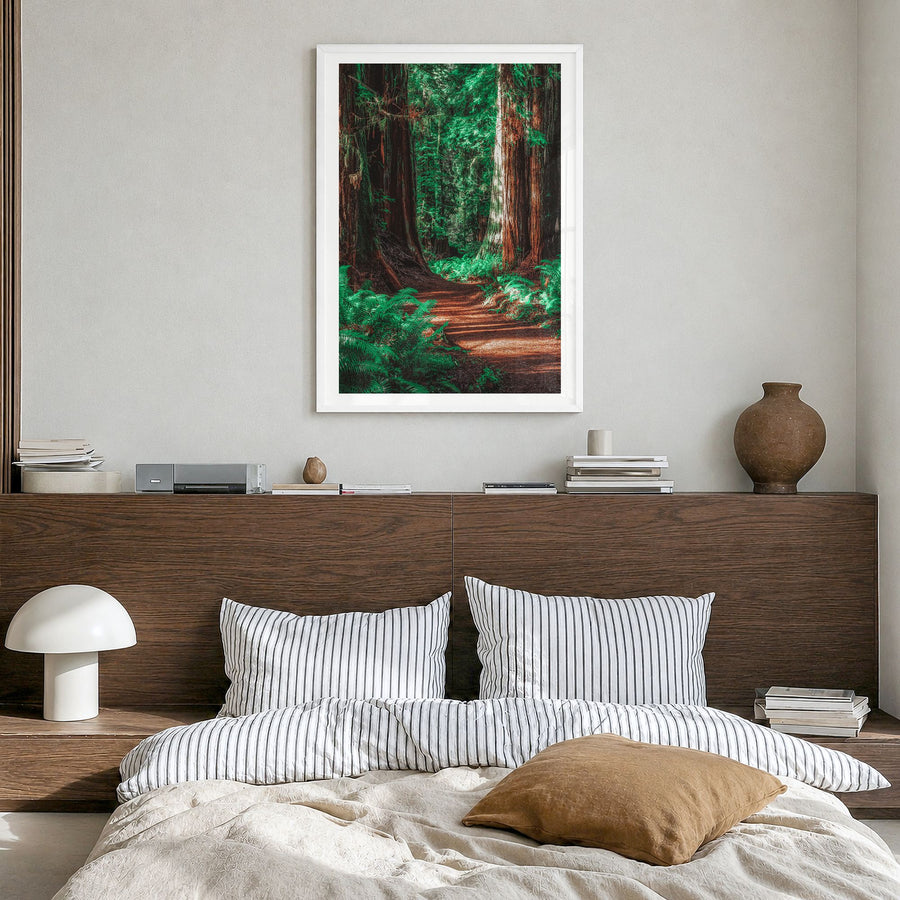 Redwood National Park Photo No 2 Poster in a white wood frame, hanging in a bedroom, white border