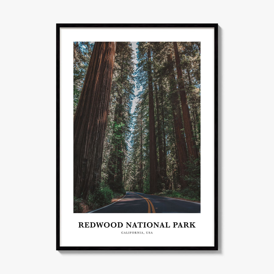 Redwood National Park Classic Poster, framed poster mockup