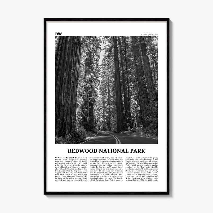 Redwood National Park Newspaper Poster, framed poster mockup