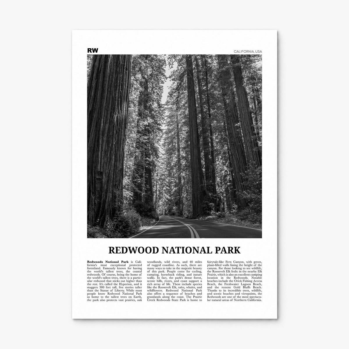 Redwood National Park Newspaper Poster, print only (unframed)