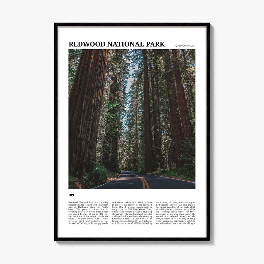 Redwood National Park Travel Poster, framed poster mockup