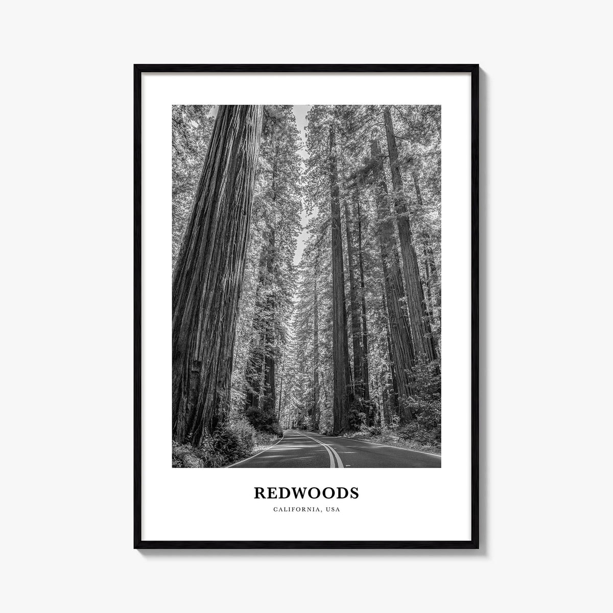 Redwood National Park black & white classic poster of California, USA – vertical wall art, unframed print shown in interior m