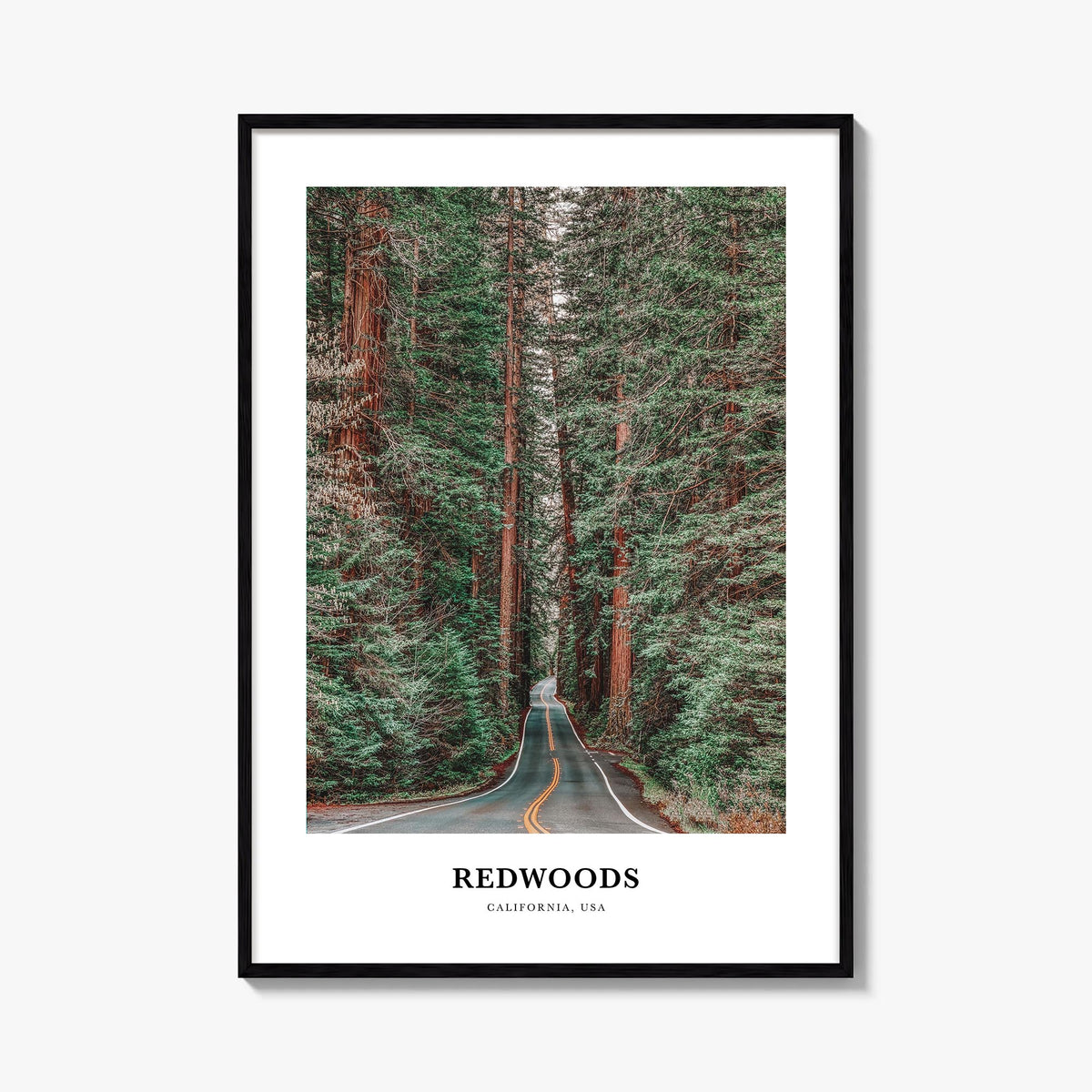Redwood National Park no. 2 colorful classic poster of California, USA – vertical wall art, unframed print shown in interior 