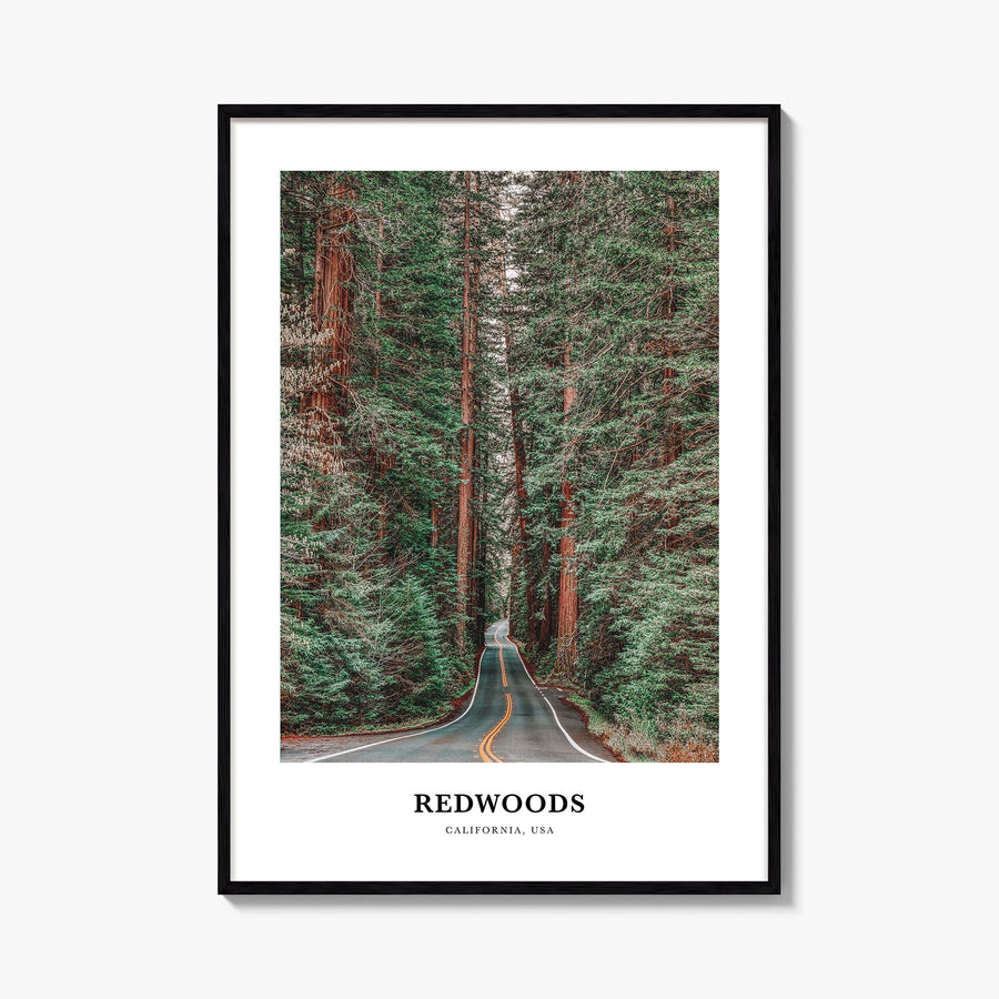 Redwood National Park no. 2 colorful classic poster of California, USA – vertical wall art, unframed print shown in interior 