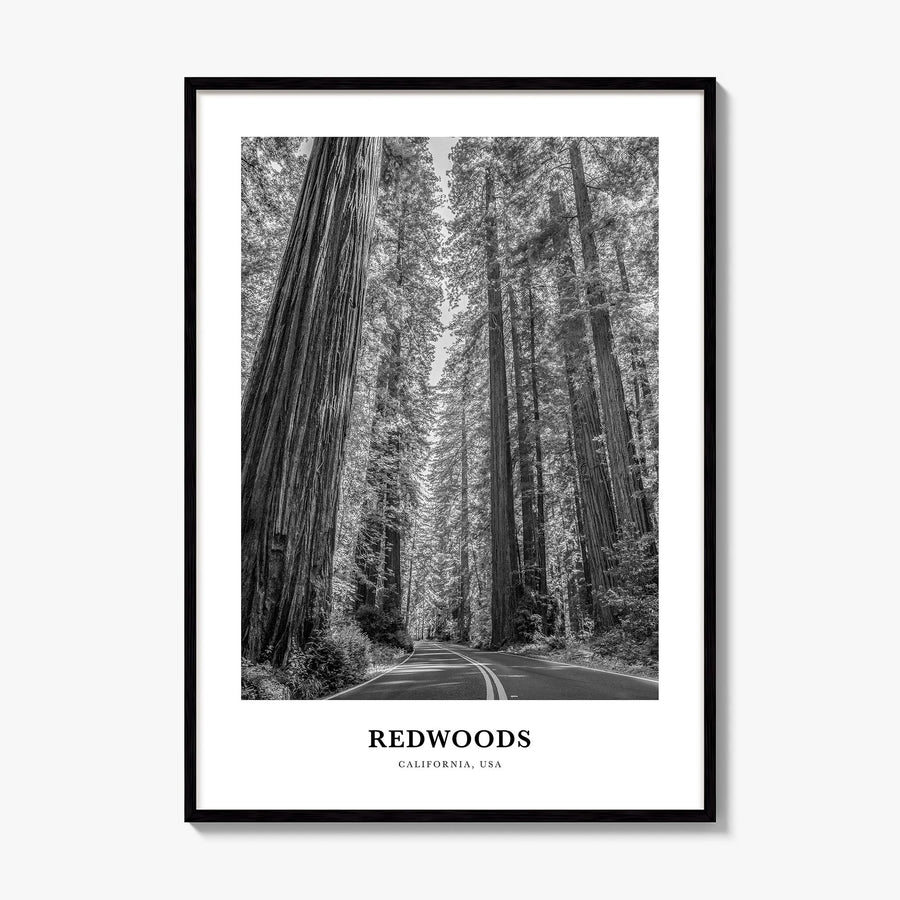 Redwoods Classic Poster, framed poster mockup