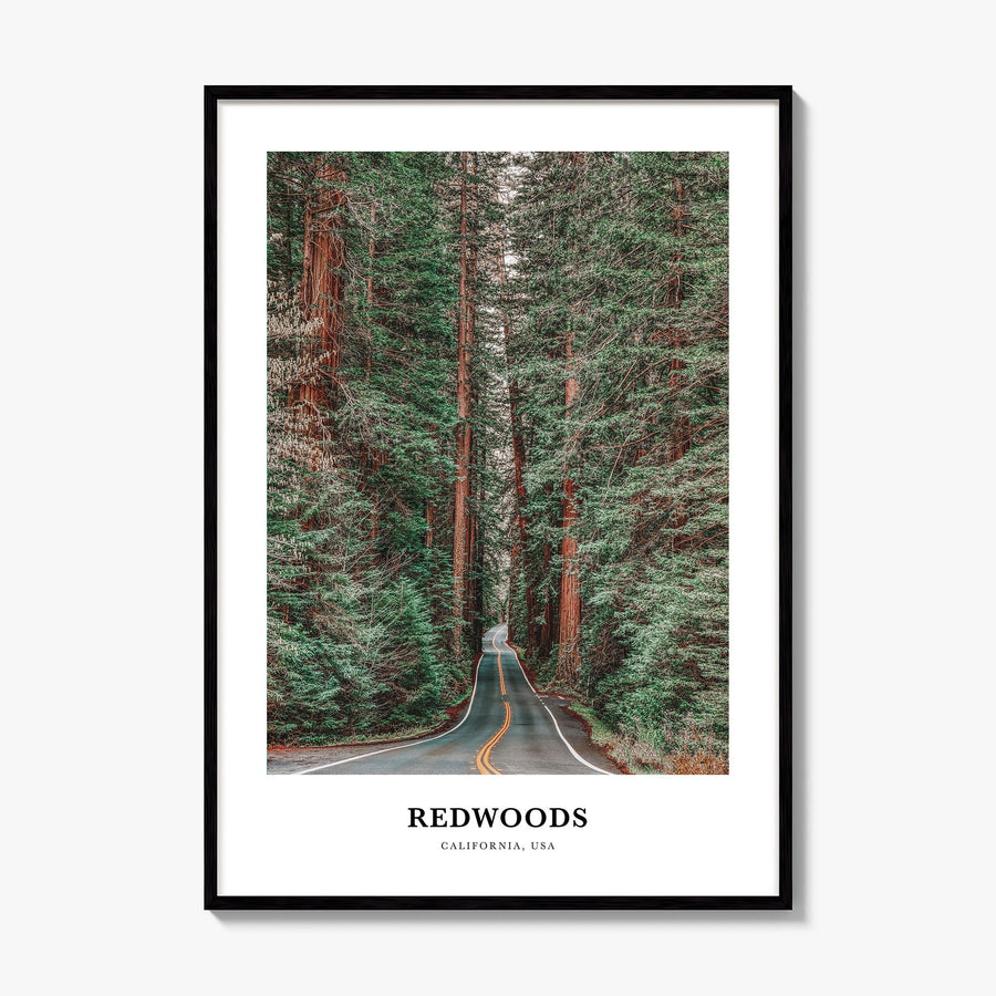 Redwoods Classic Poster, framed poster mockup
