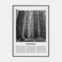 Redwoods Poster Black Metal / 8x12 in Nbourhood Travel B&W Poster