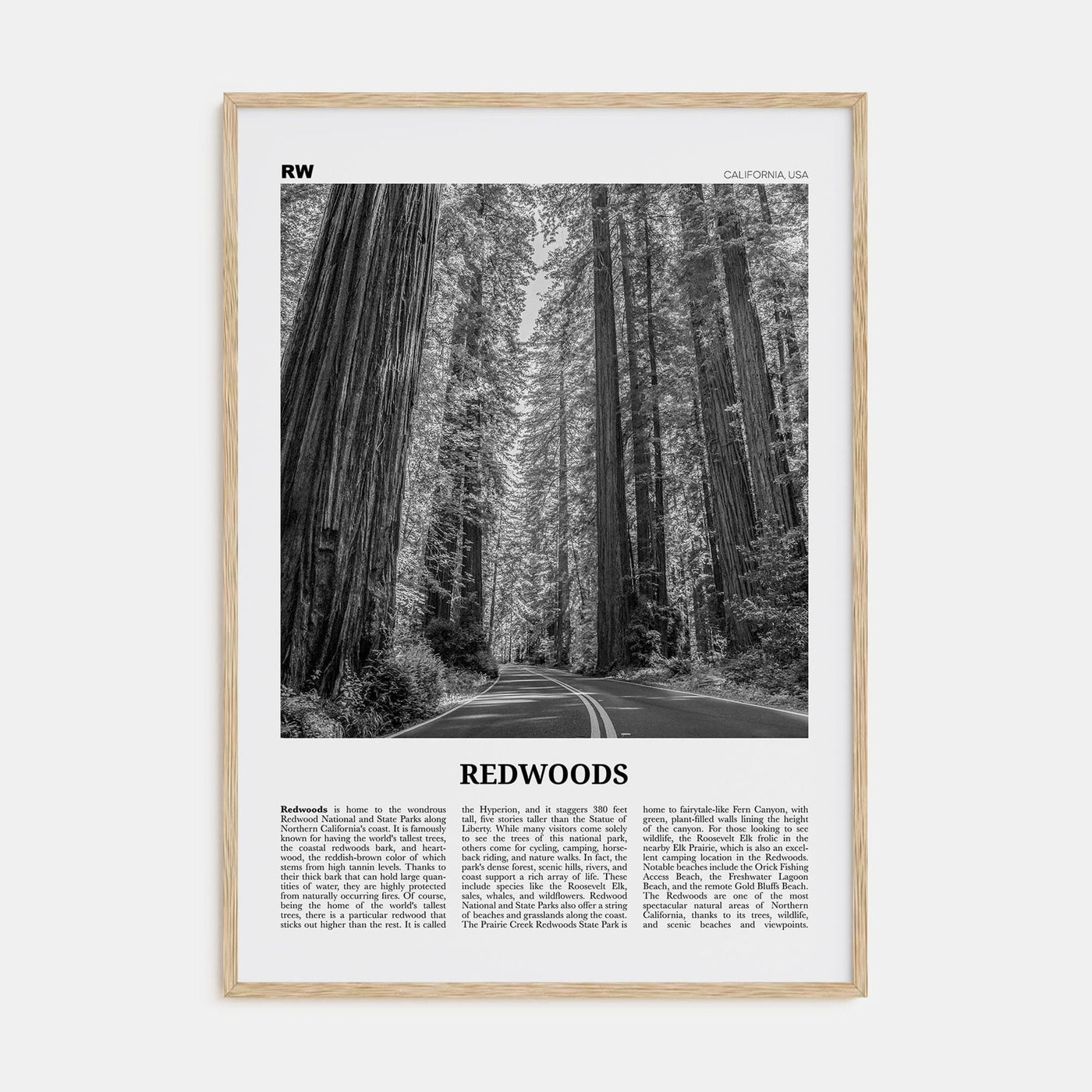 Redwoods Poster Natural Wood / 8x12 in Nbourhood Travel B&W Poster