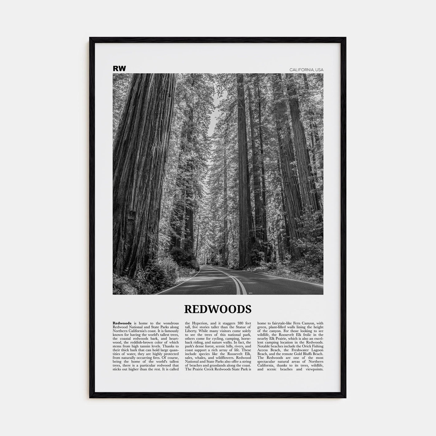 Redwoods Poster Black Wood / 8x12 in Nbourhood Travel B&W Poster