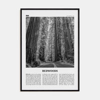 Redwoods Poster Black Wood / 8x12 in Nbourhood Travel B&W Poster