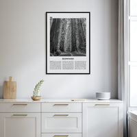 Redwoods Poster Nbourhood Travel B&W Poster