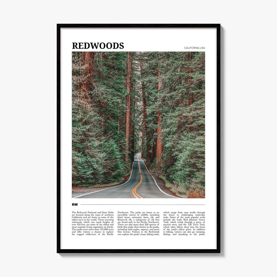 Redwoods Travel Poster, framed poster mockup