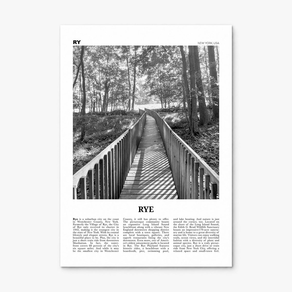 Rye Newspaper Poster, print only (unframed)