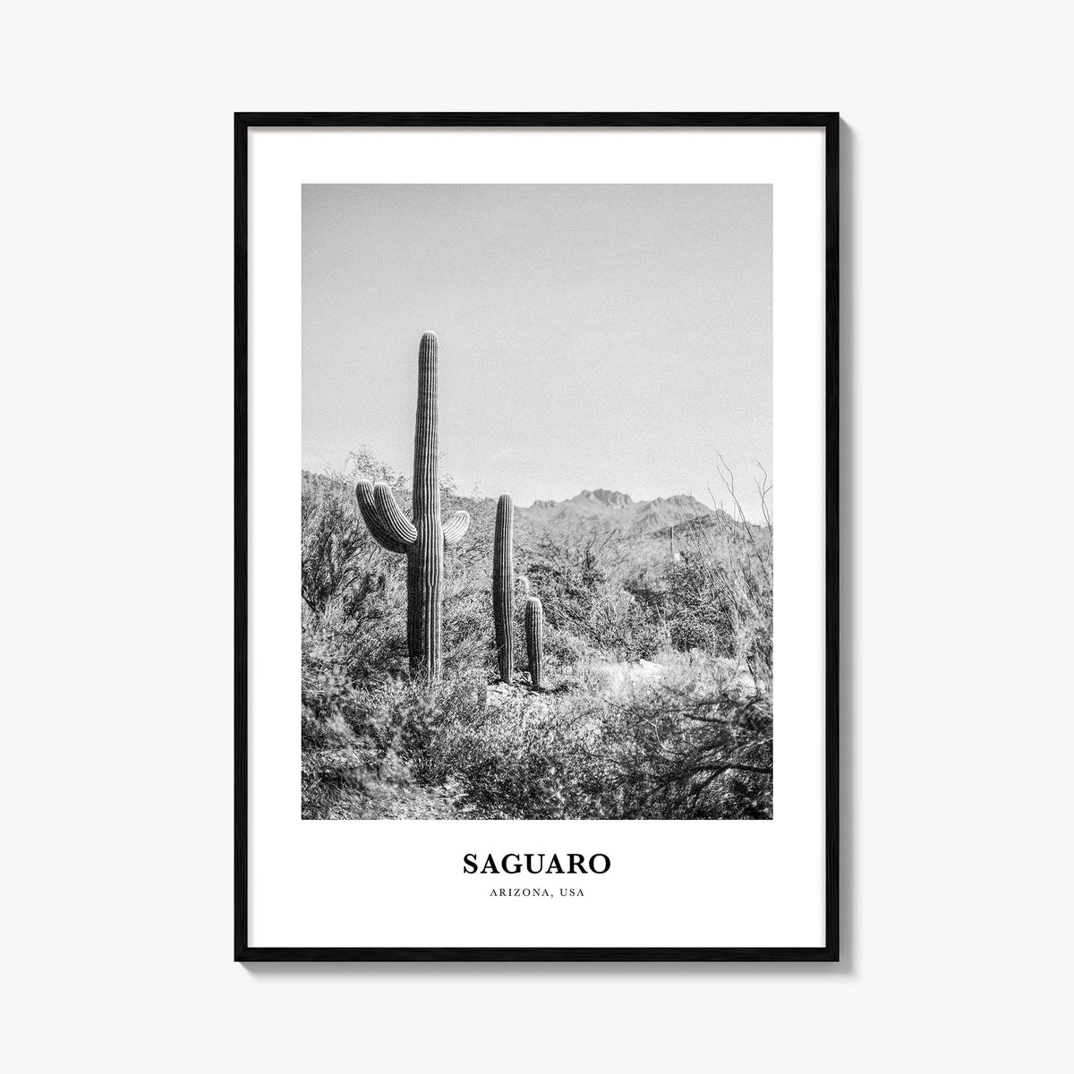 Saguaro National Park black & white classic poster of Arizona, USA – vertical wall art, unframed print shown in interior mock