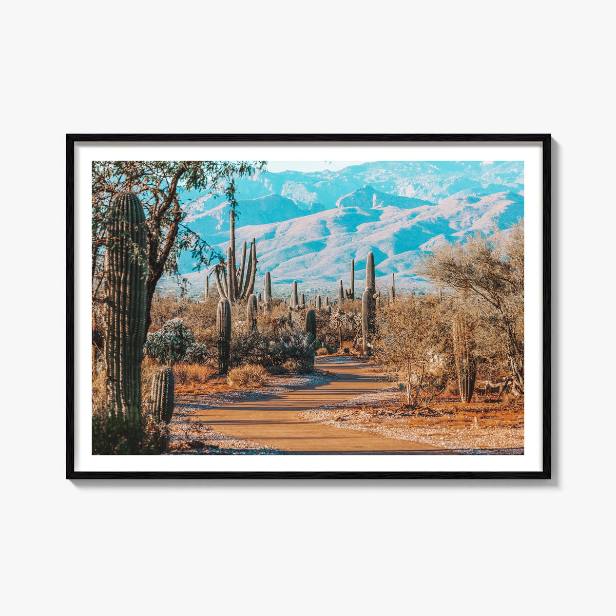 Saguaro National Park colorful photo poster of Arizona, USA – horizontal wall art, unframed print shown in interior mockup