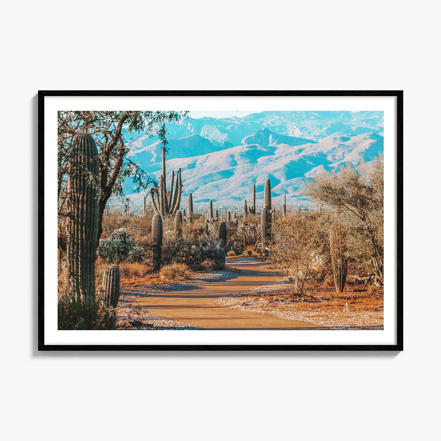 Saguaro National Park Photo Poster, framed poster mockup, white border