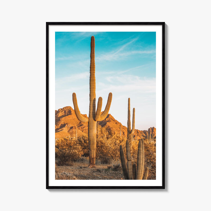 Saguaro National Park no. 1 colorful photo poster of Arizona, USA – vertical wall art, unframed print shown in interior mocku