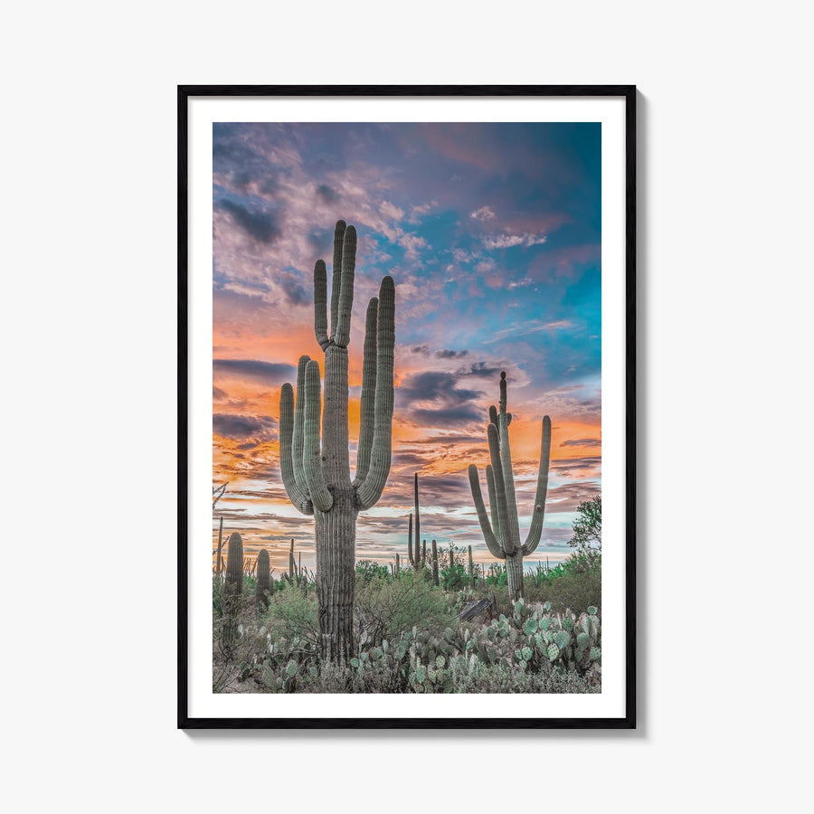 Saguaro National Park no. 2 colorful photo poster of Arizona, USA – vertical wall art, unframed print shown in interior mocku