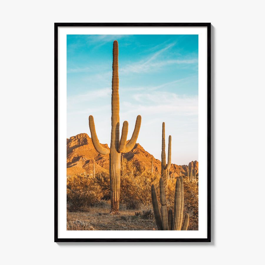Saguaro National Park Photo No 1 Poster, framed poster mockup, white border