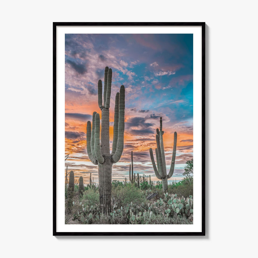 Saguaro National Park Photo No 2 Poster, framed poster mockup, white border