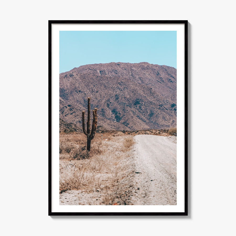 Saguaro National Park Photo No 3 Poster, framed poster mockup, white border