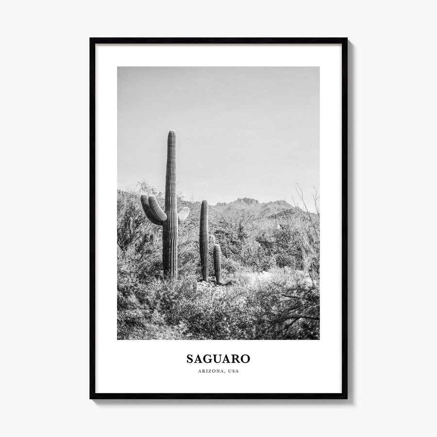 Saguaro National Park Classic Poster, framed poster mockup