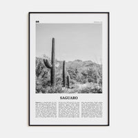 Saguaro National Park Poster Black Metal / 8x12 in Nbourhood Travel B&W Poster