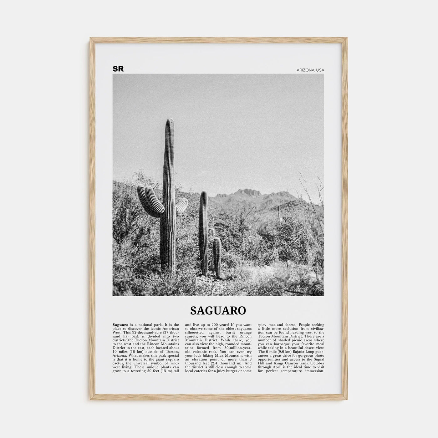 Saguaro National Park Poster Natural Wood / 8x12 in Nbourhood Travel B&W Poster