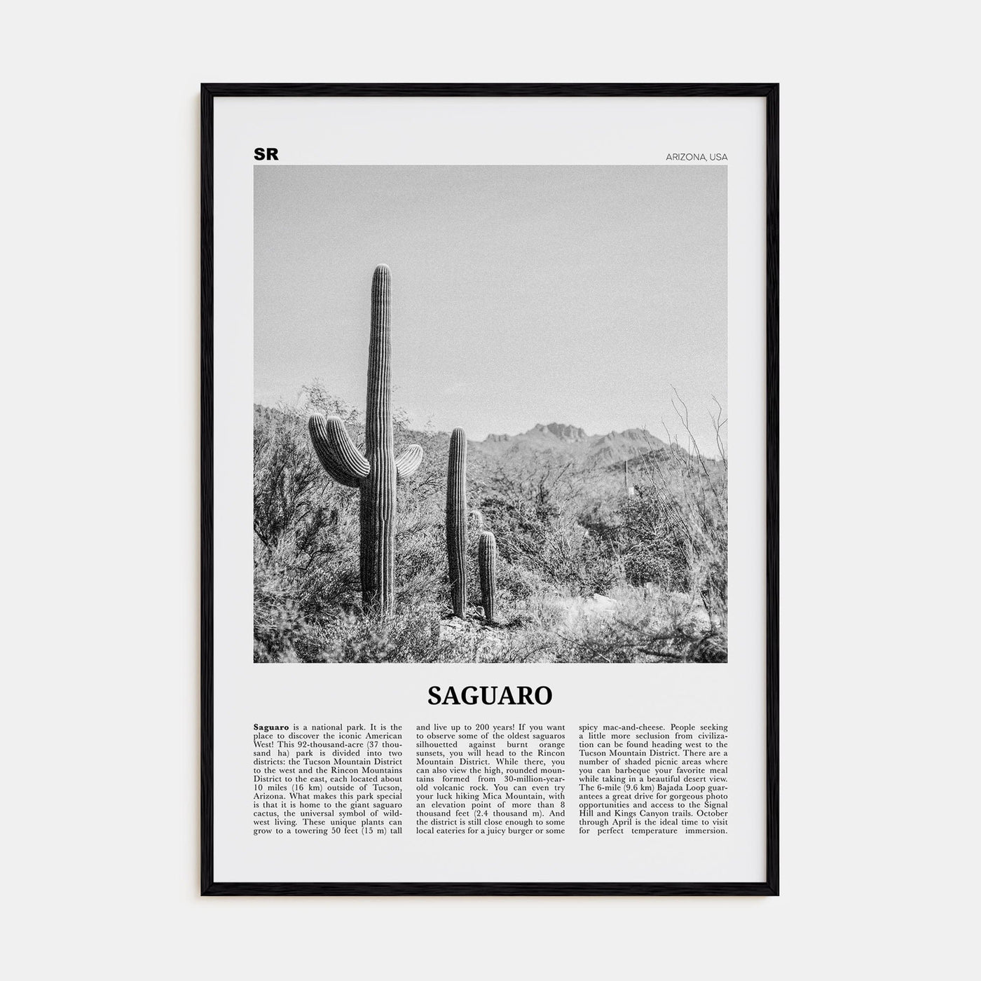 Saguaro National Park Poster Black Wood / 8x12 in Nbourhood Travel B&W Poster