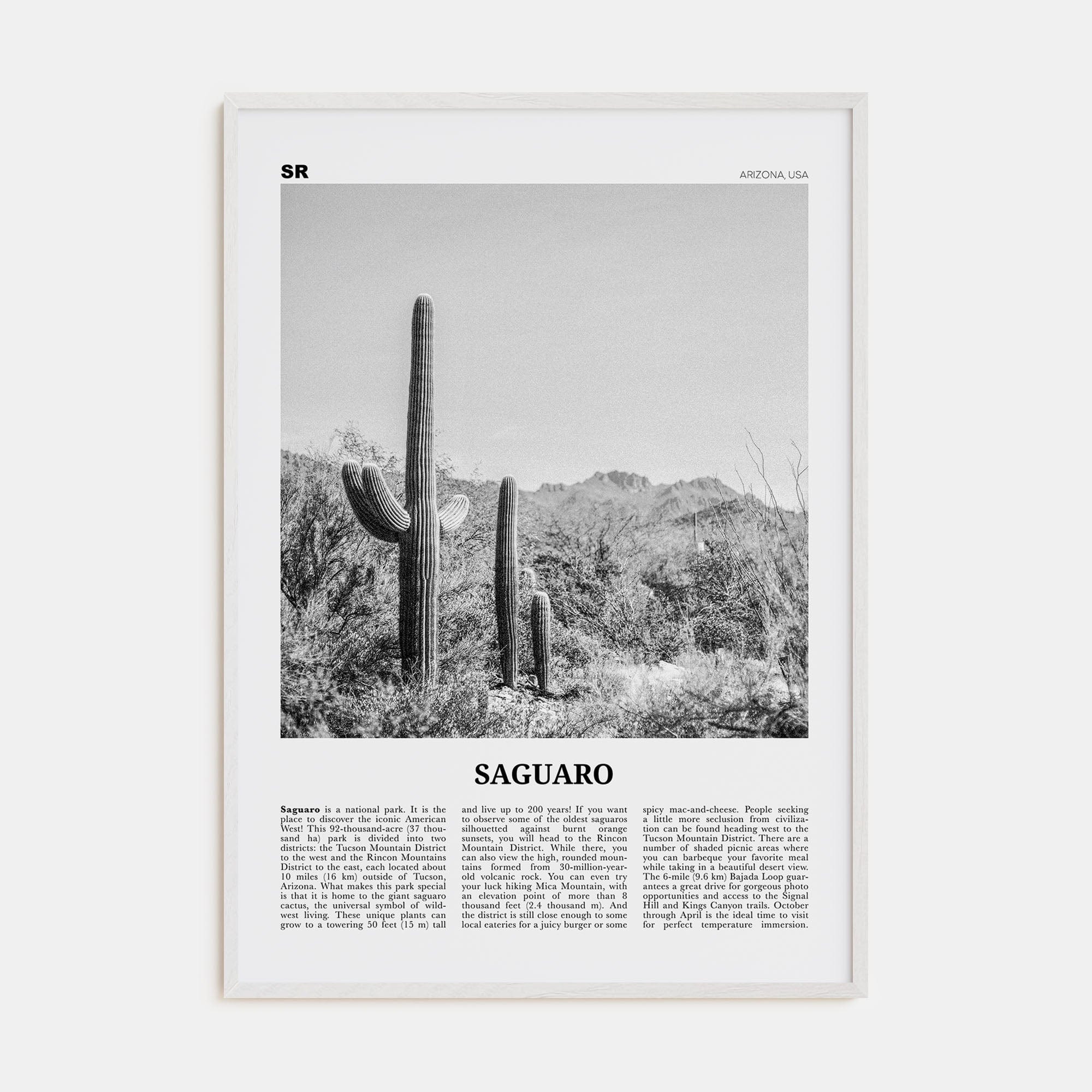 Saguaro National Park Poster White Wood / 8x12 in Nbourhood Travel B&W Poster