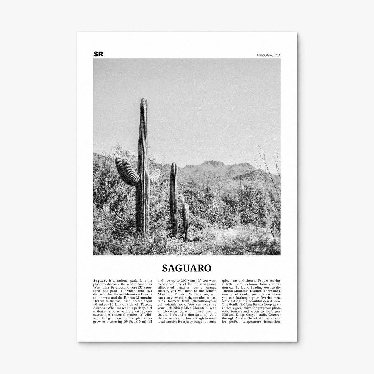Saguaro National Park Newspaper Poster, print only (unframed)