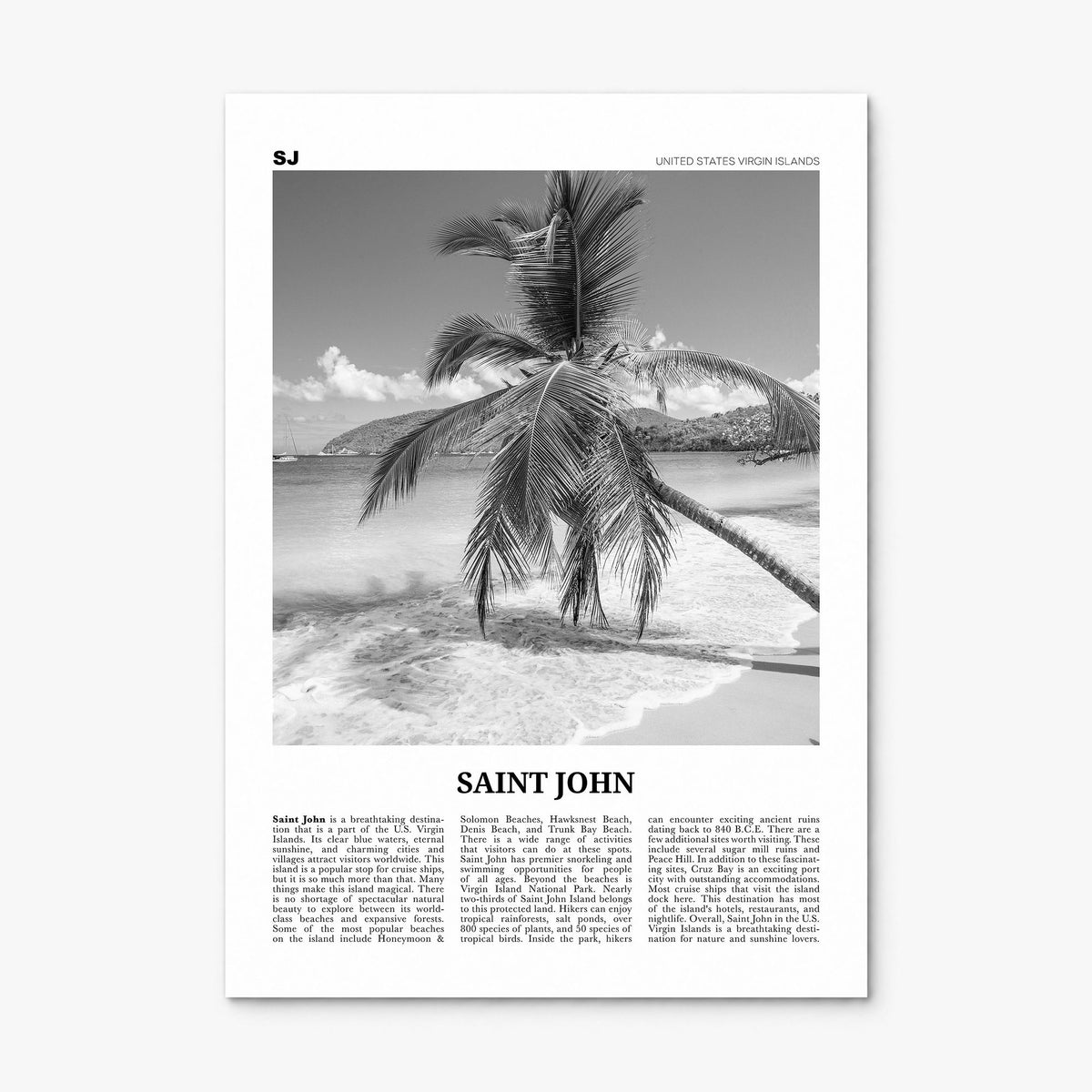 Saint John Newspaper Poster, print only (unframed)