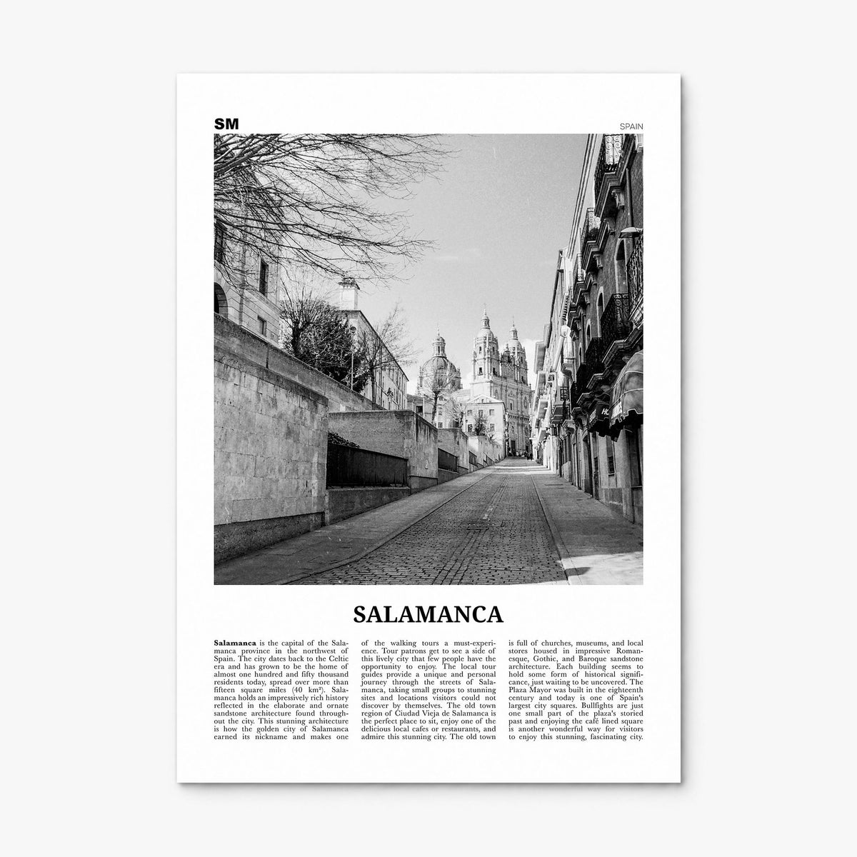 Salamanca Newspaper Poster, print only (unframed)