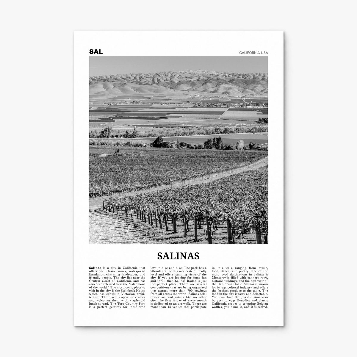 Salinas Newspaper Poster, print only (unframed)