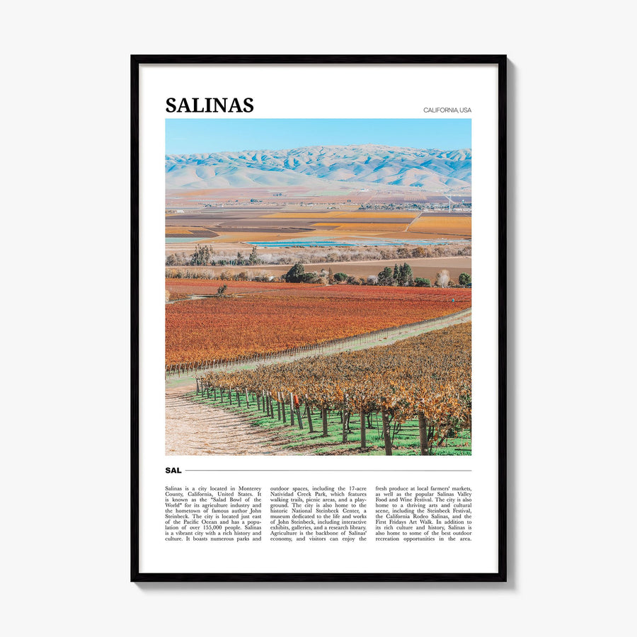 Salinas Travel Poster, framed poster mockup