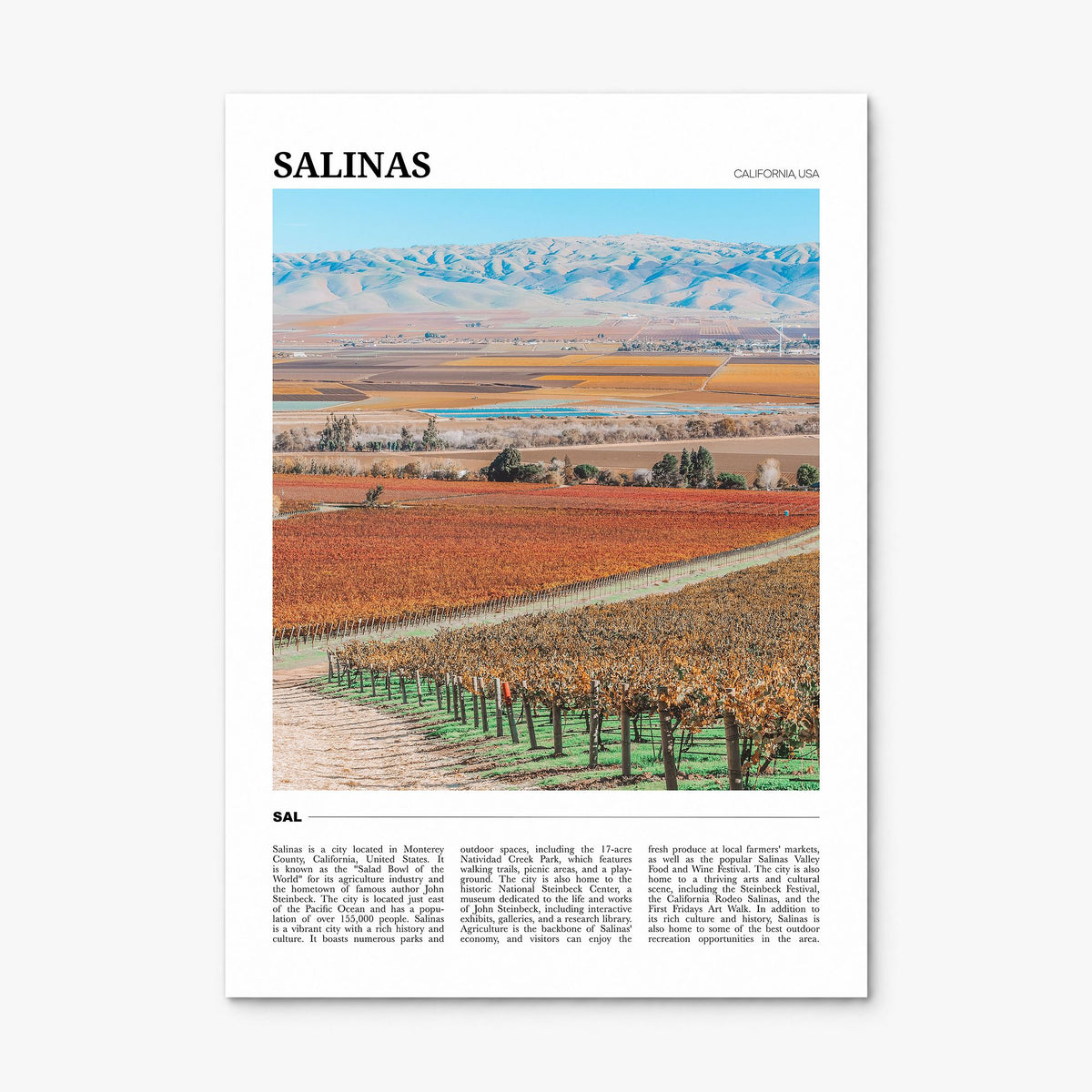 Salinas Travel Poster, print only (unframed)
