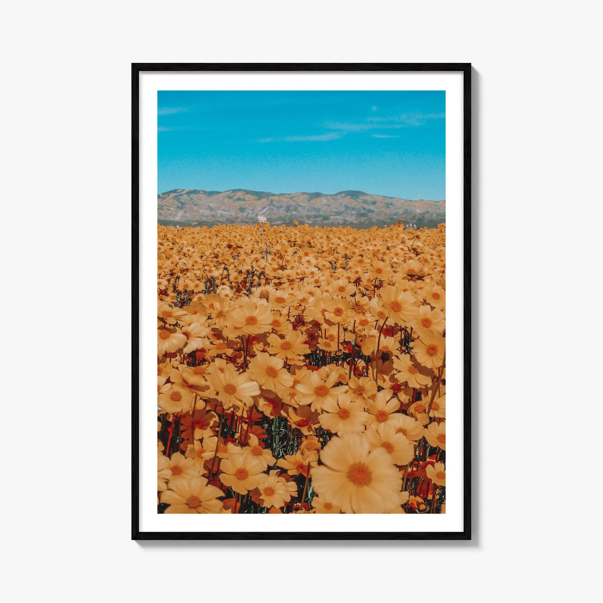 San Luis Obispo no. 2 colorful photo poster of California, USA – vertical wall art, unframed print shown in interior mockup