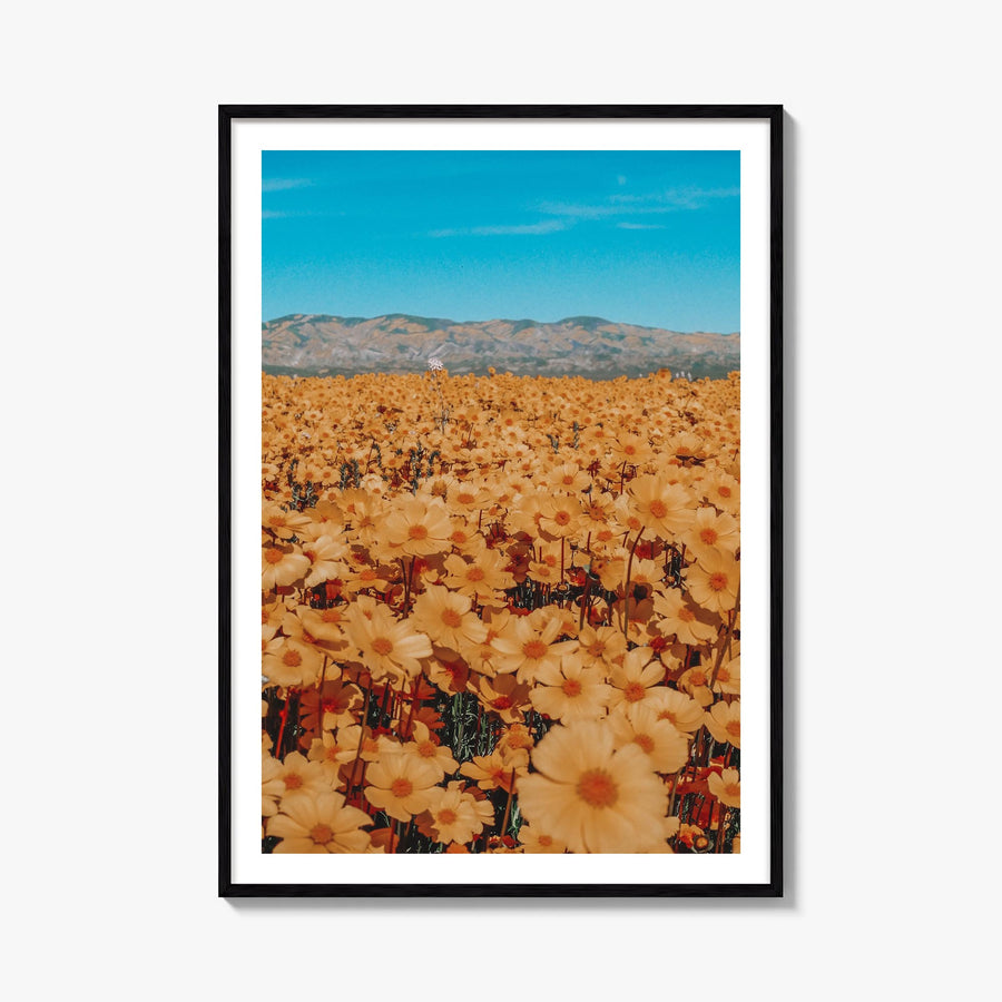 San Luis Obispo no. 2 colorful photo poster of California, USA – vertical wall art, unframed print shown in interior mockup