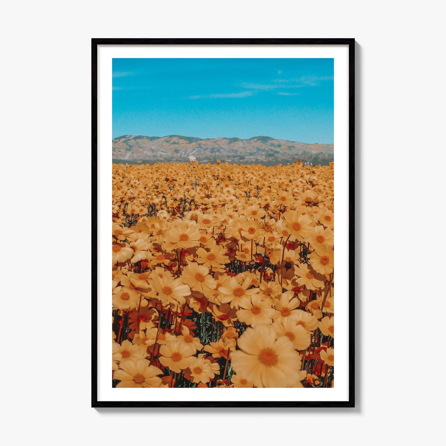 San Luis Obispo Photo No 2 Poster, framed poster mockup, white border