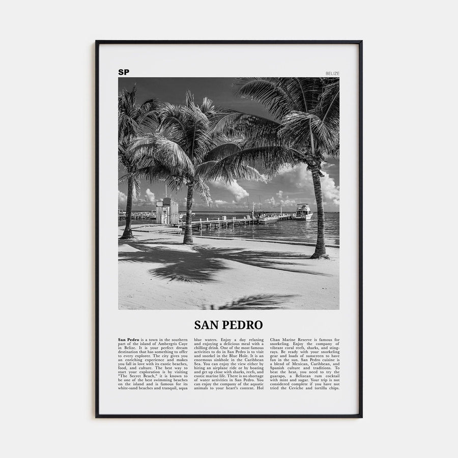 San Pedro, Belize Poster Black Metal / 8x12 in Nbourhood Travel B&W Poster