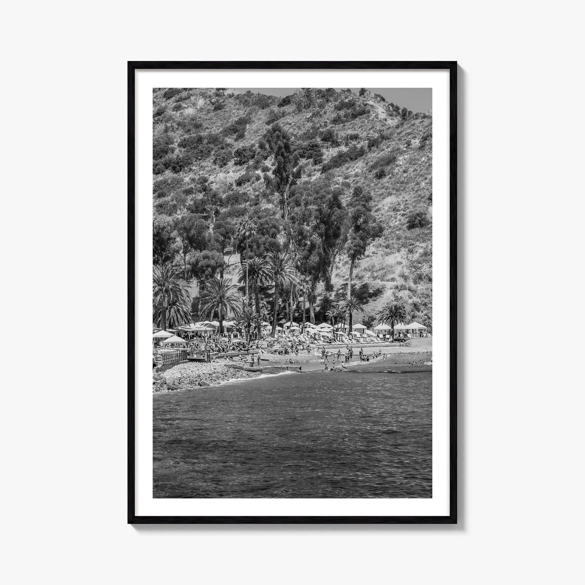 Santa Catalina Island black & white photo poster of California, USA – vertical wall art, unframed print shown in interior moc