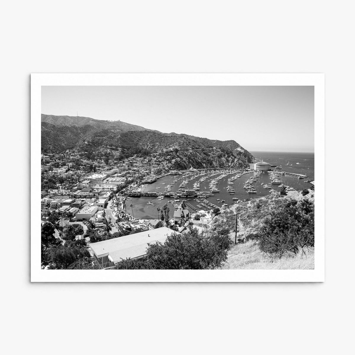 Santa Catalina Island Photo Poster, print only (unframed), white border