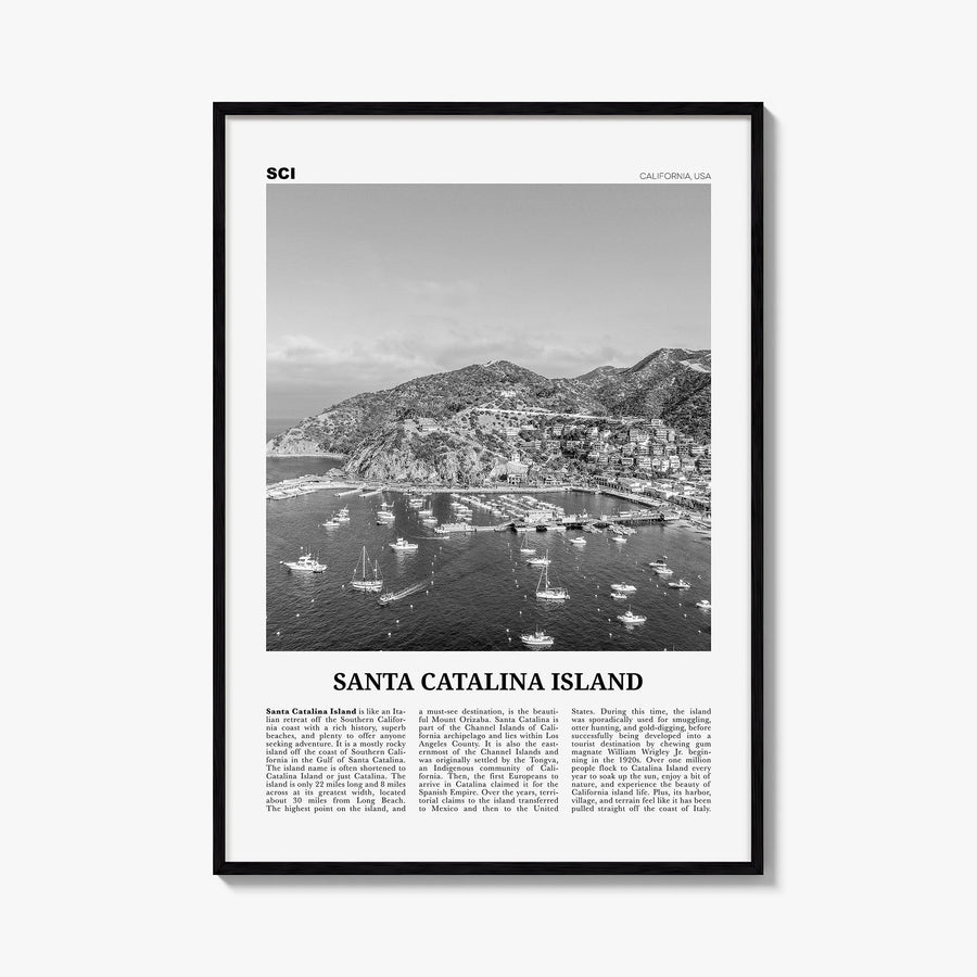 Santa Catalina Island no. 2 black & white newspaper poster of California, USA – vertical wall art, unframed print shown in in