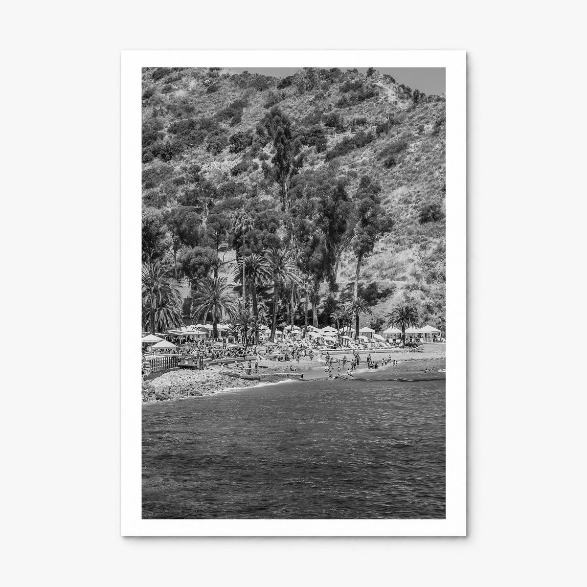 Santa Catalina Island Photo Poster, print only (unframed), white border