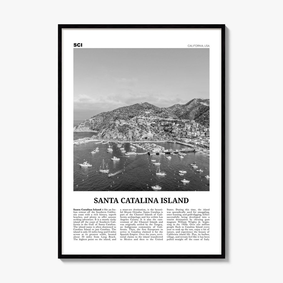 Santa Catalina Island Newspaper No 2 Poster, framed poster mockup