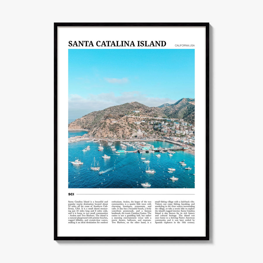 Santa Catalina Island Travel Poster, framed poster mockup