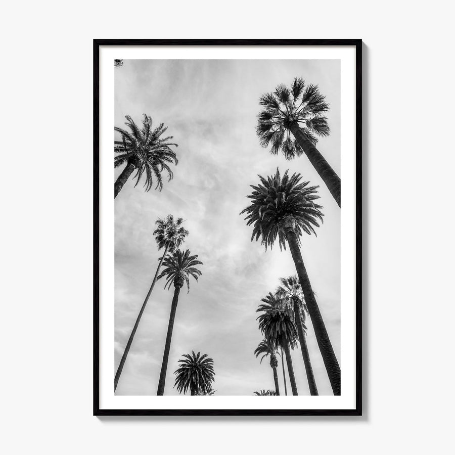 Santa Monica Photo No 1 Poster, framed poster mockup, white border